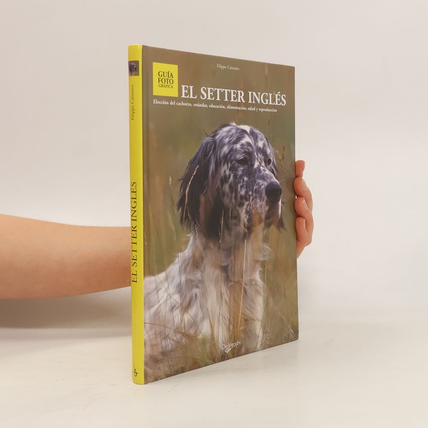 Filippo Cattaneo El Setter Inglés