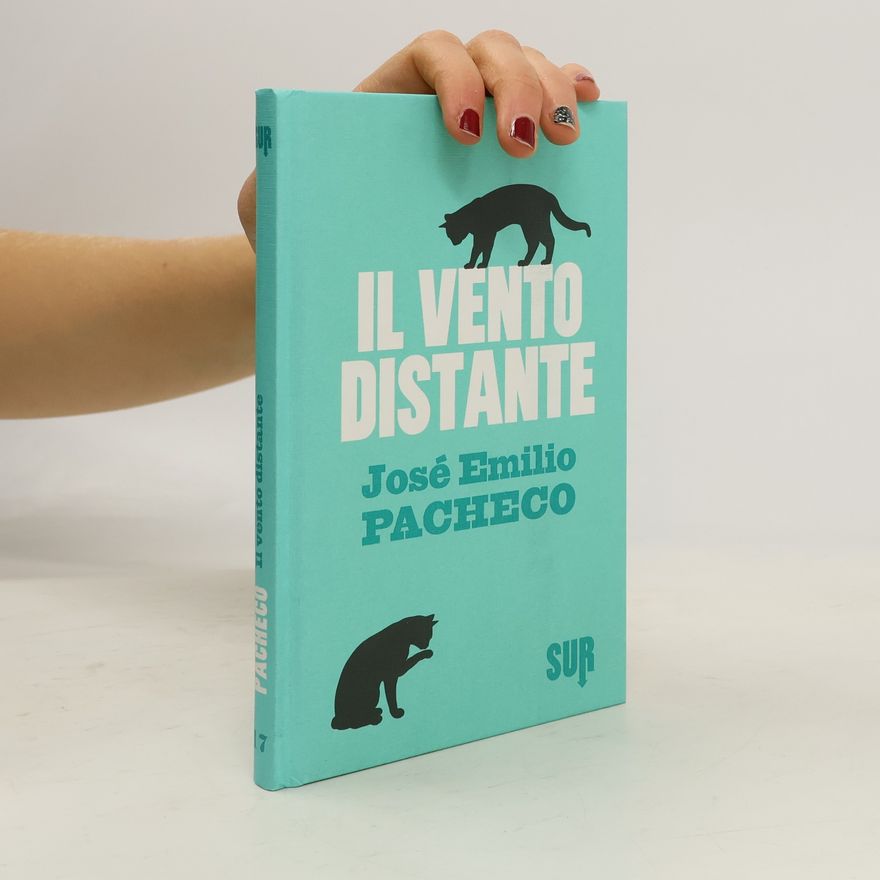 Raul Schenardi Il vento distante