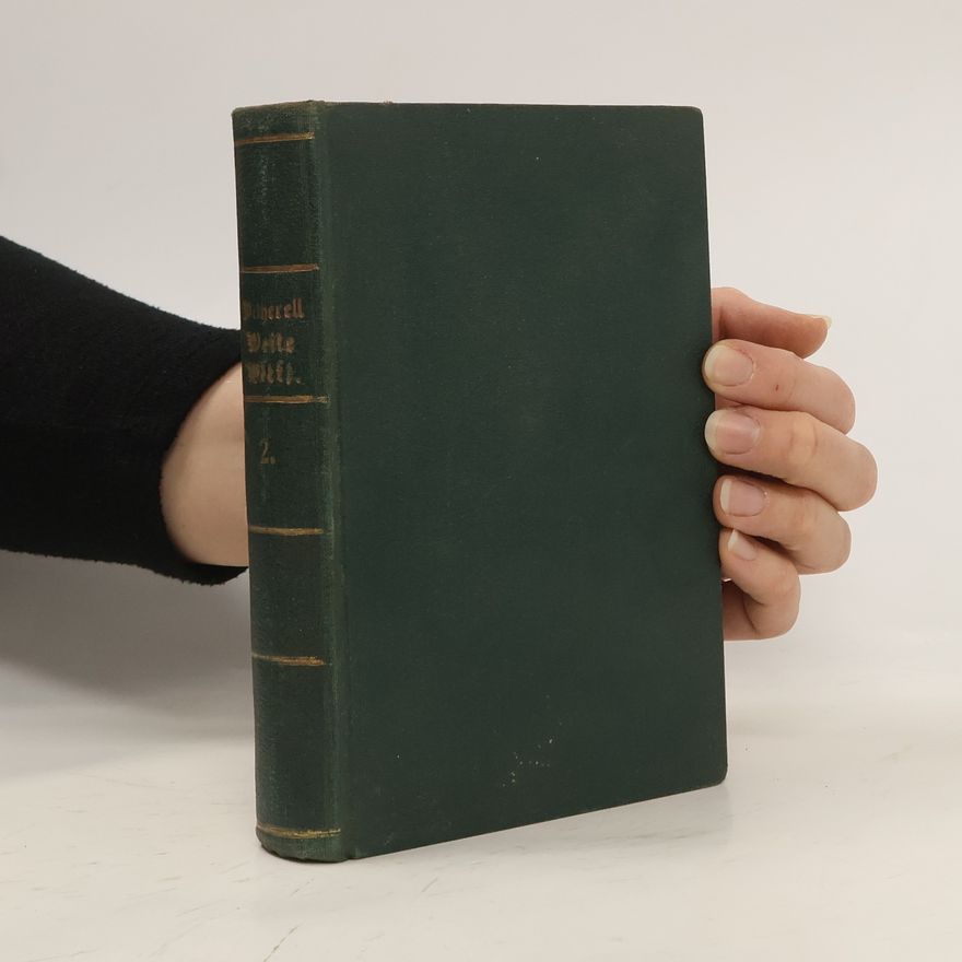 Elizabeth Wetherell Die Weite, weite Welt 3