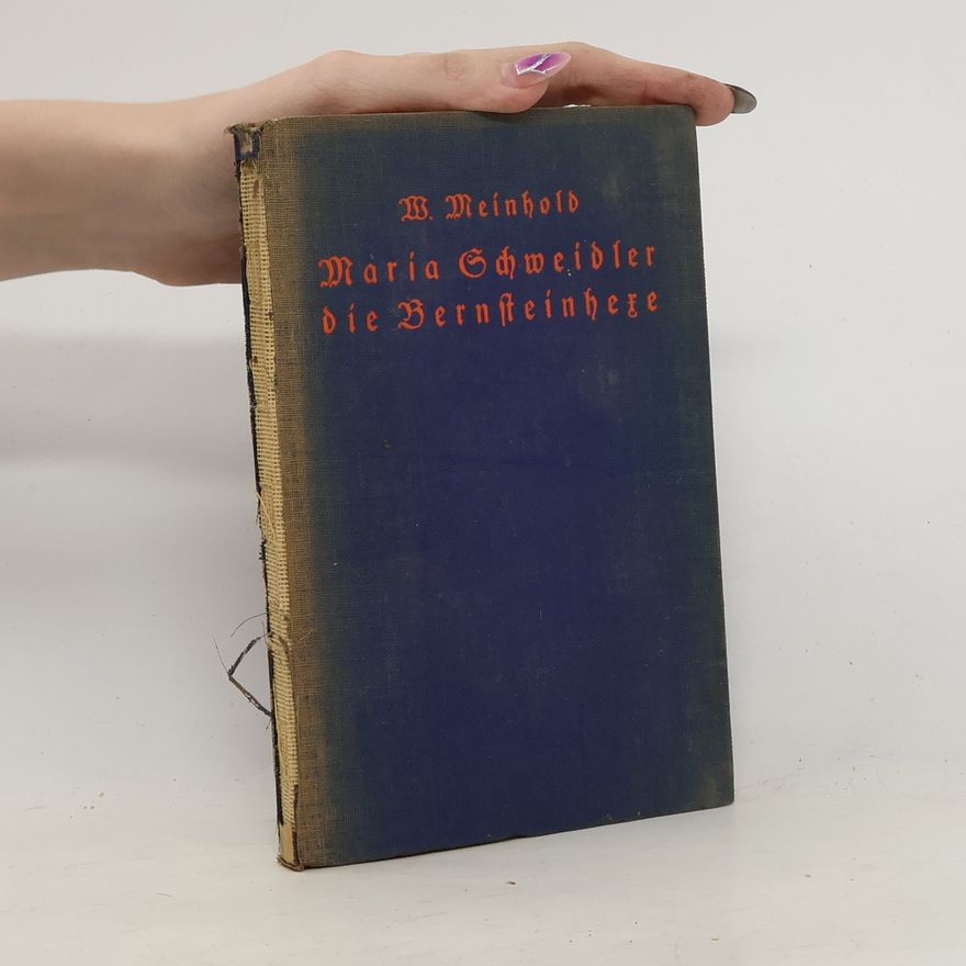 Wilhelm Meinhold Maria Schweidler die Bernsteinhexe