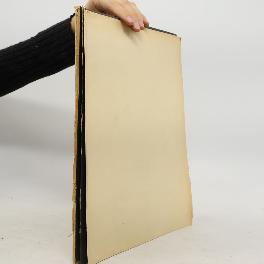 Hans Hildebrandt Handbuch der Kunstwissenschaft. Die Kunst des 19. und 20. Jahrhunderts