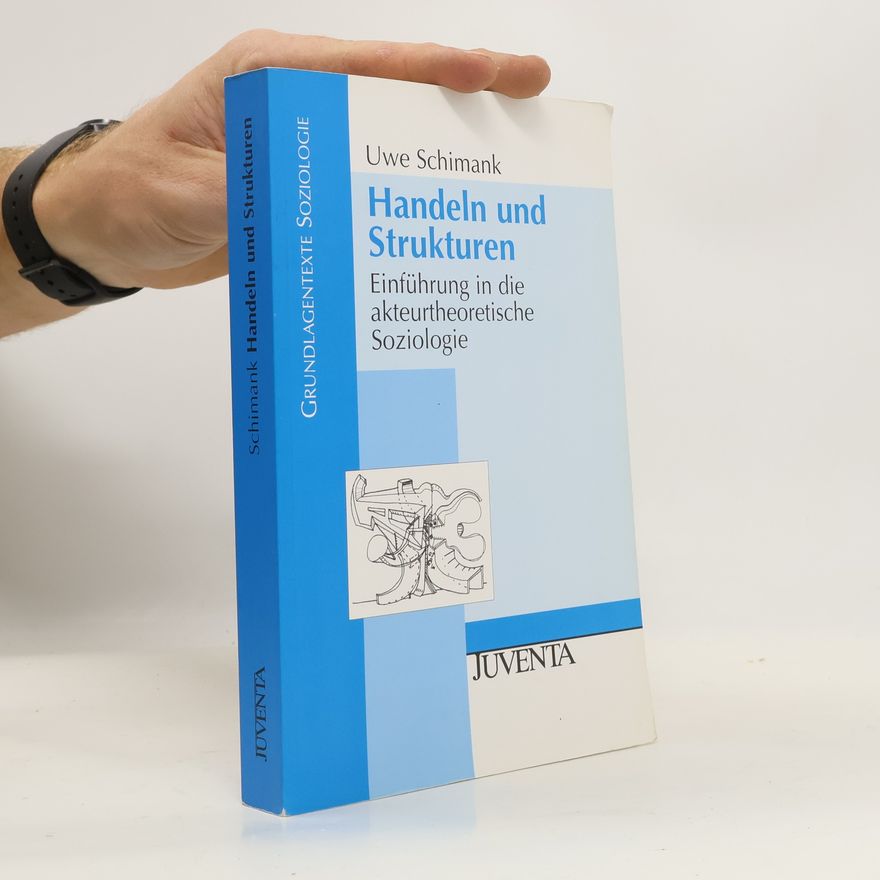 Uwe Schimank Handeln und Strukturen