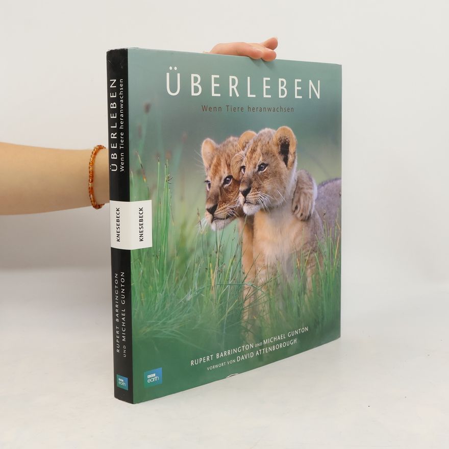 Jim Brandenburg Wildlife-Fotografien des Jahres, die Meister der Naturfotografie