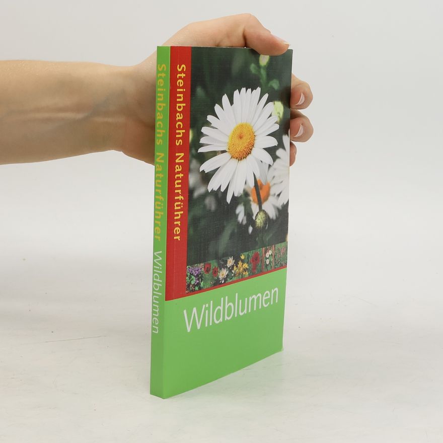 Bruno P. Kremer Wildblumen entdecken und erkennen