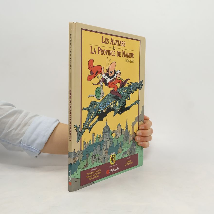 Autorenkollektiv Les avatars de la province de Namur, 1930-1996