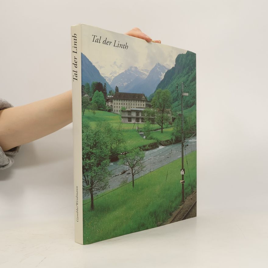Ulrich Gambke Tal der Linth