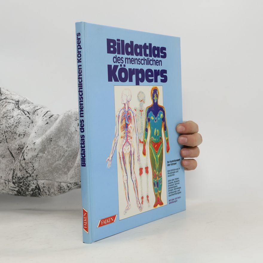 Vanio Vannini Bildatlas des menschlichen Körpers