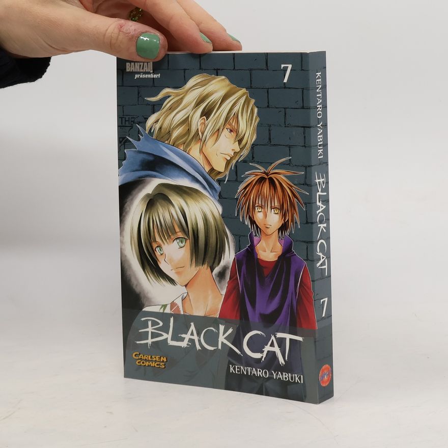 Kentaro Yabuki Black Cat 7