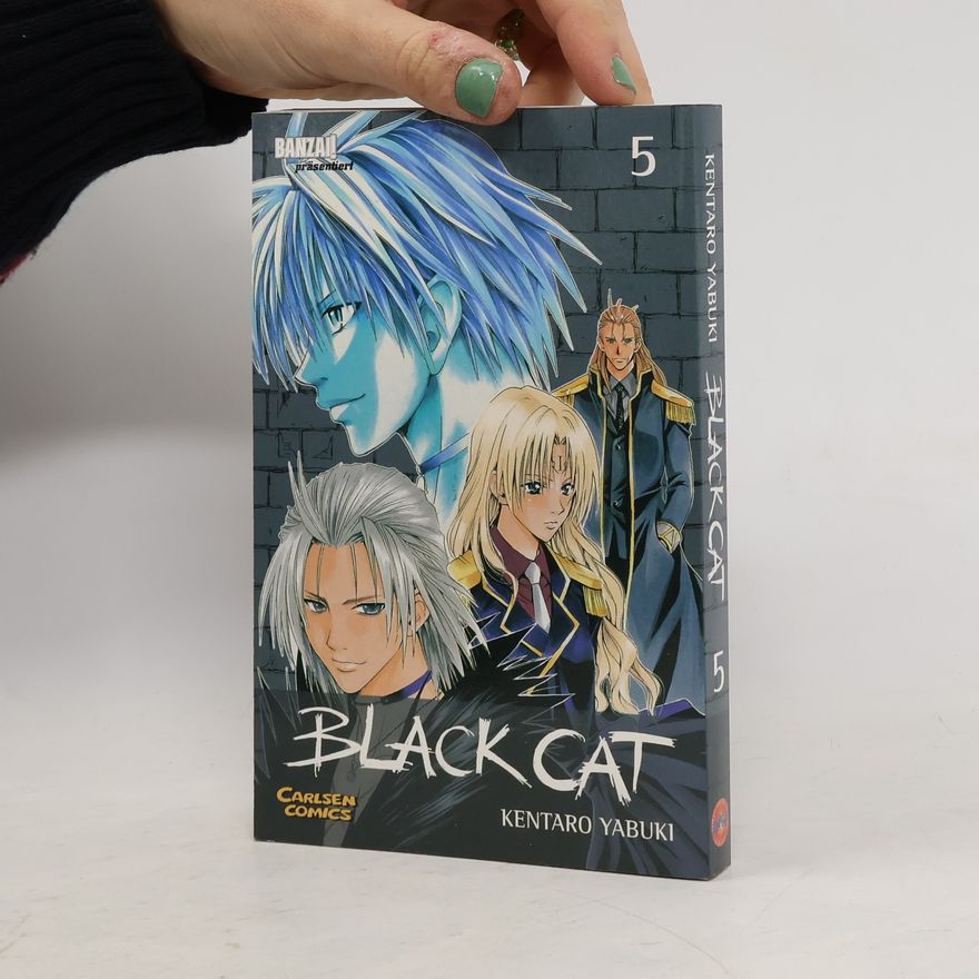 Kentaro Yabuki Black Cat 5