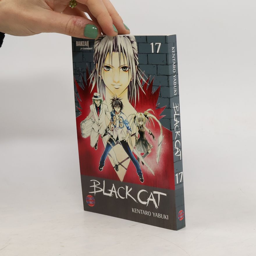 Kentaro Yabuki Black Cat 17