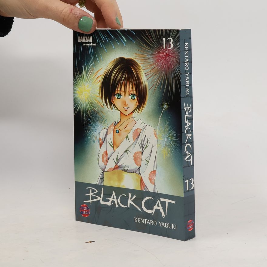Kentaro Yabuki Black Cat 13