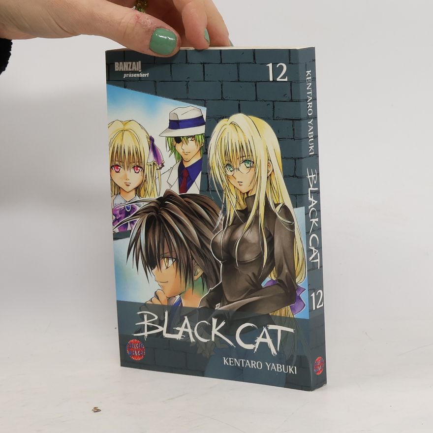 Kentaro Yabuki Black Cat 12