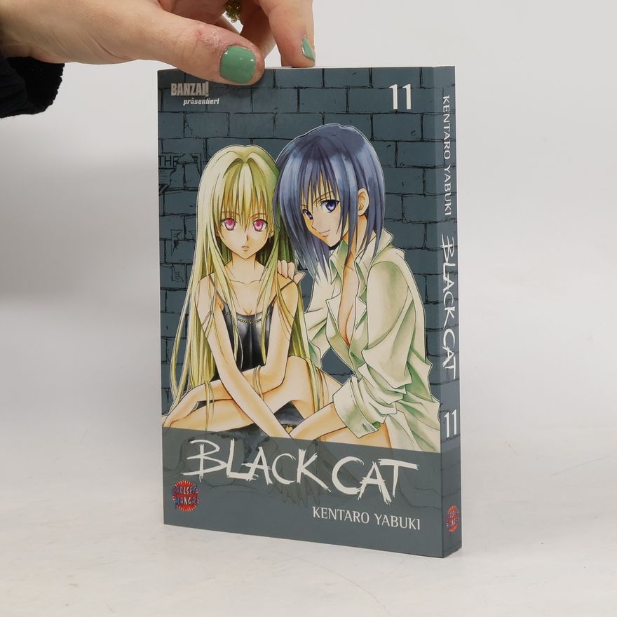 Kentaro Yabuki Black Cat 11