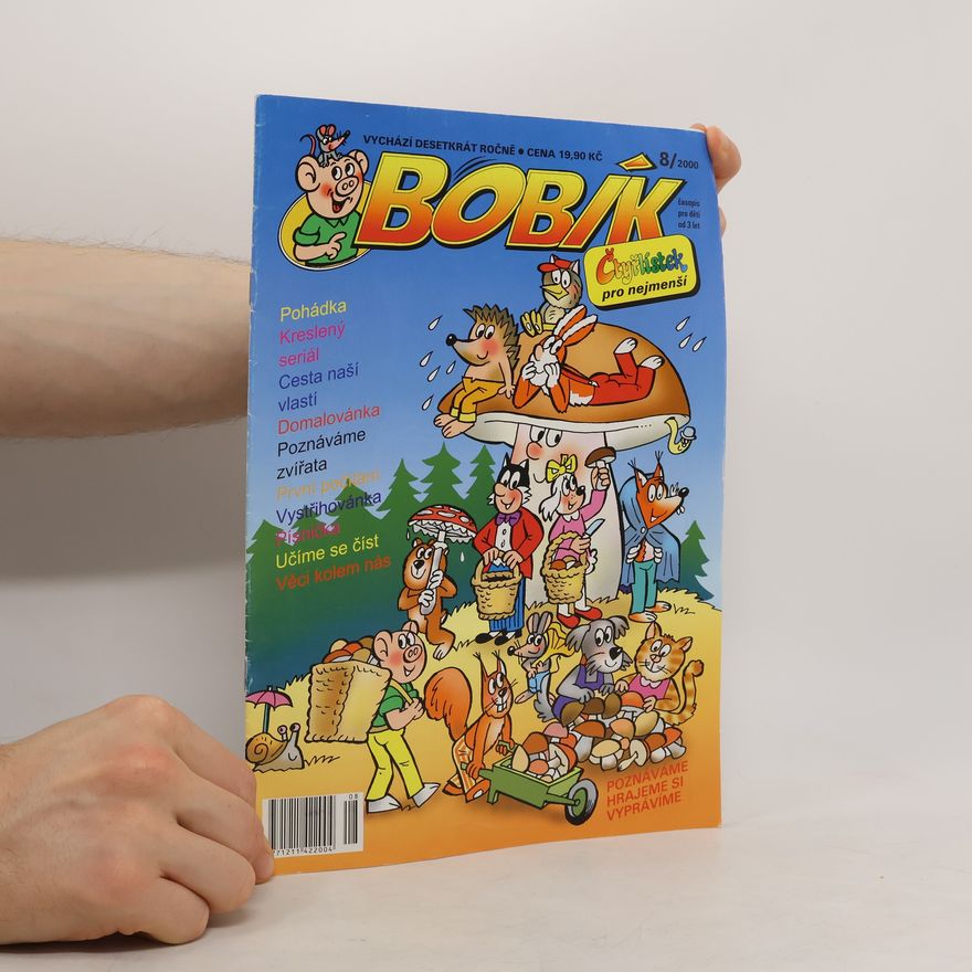 Autorenkollektiv Bobík 8/2000
