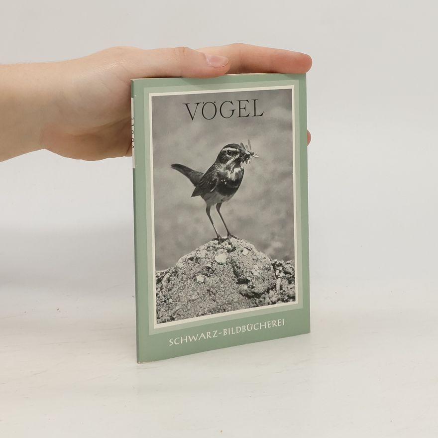 Autorenkollektiv Vögel