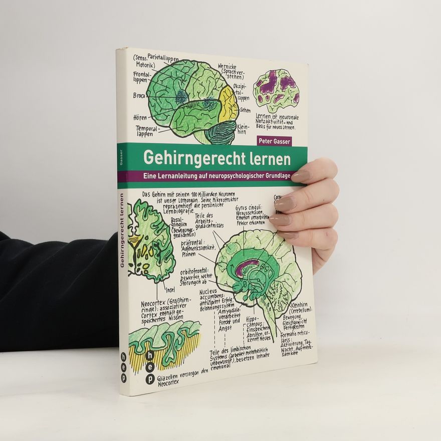 Peter Gasser Gehirngerecht lernen