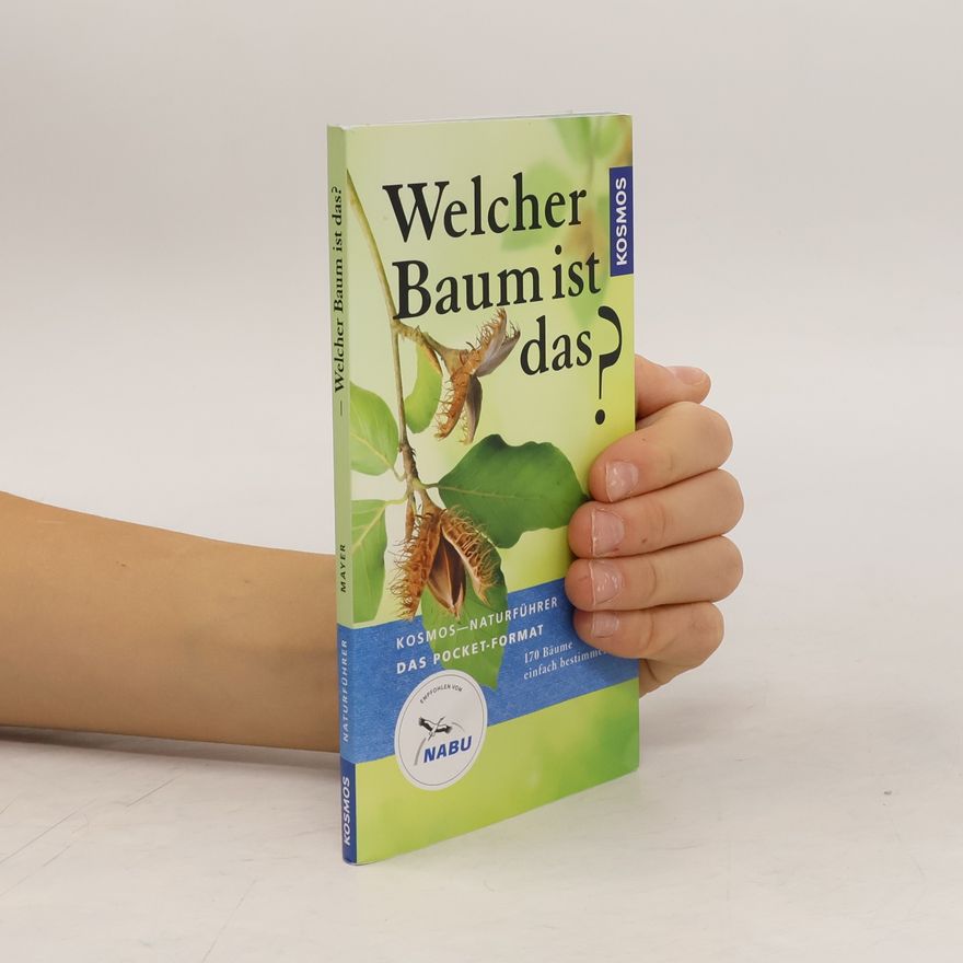 Kolektiv autorů Welcher Baum ist das?