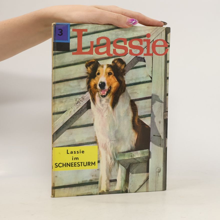 Henri Arnoldus Lassie im Schneesturm 3