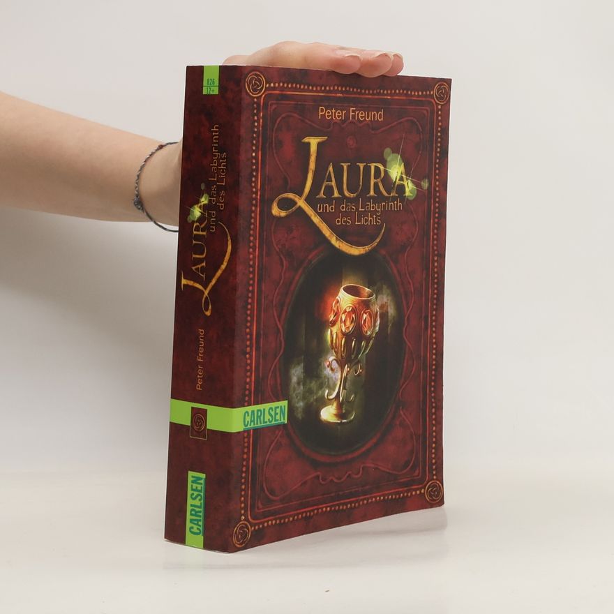Peter Freund Laura und das Labyrinth des Lichts