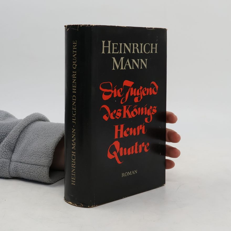 Heinrich Mann Die Jugend des Königs Henri Quatre