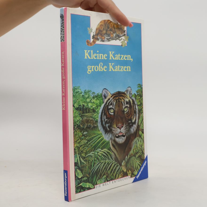 Béatrice Fontanel Kleine Katzen, grosse Katzen