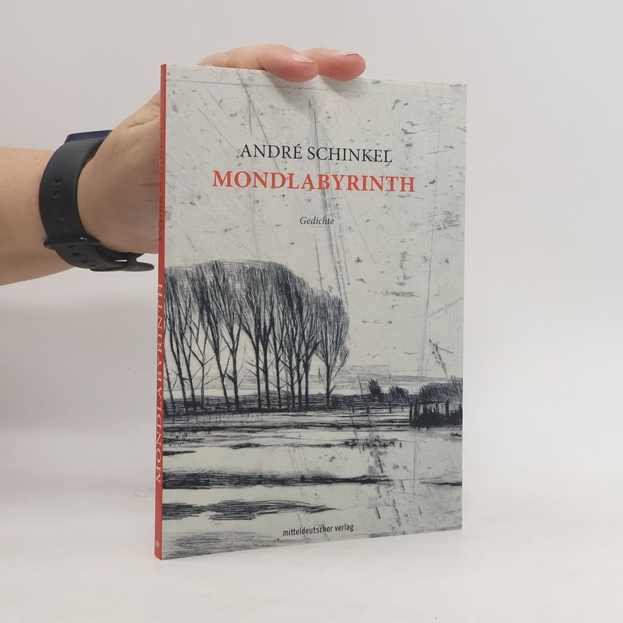 André Schinkel Mondlabyrinth