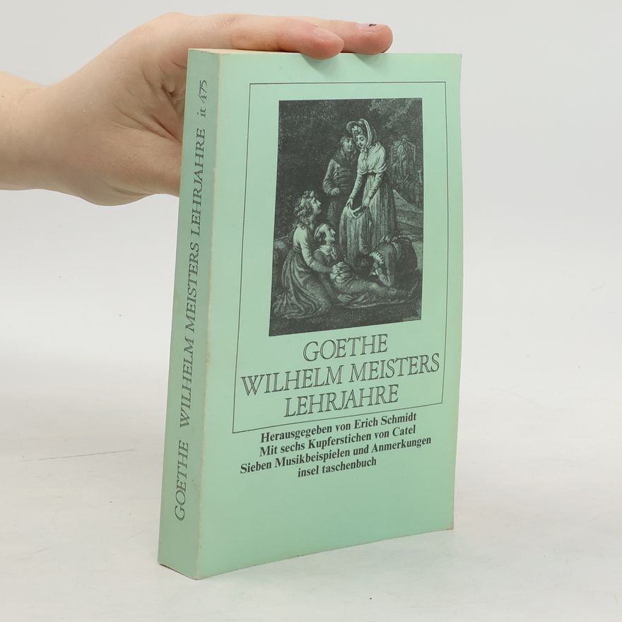Johann Wolfgang von Goethe Wilhelm Meisters Lehrjahre