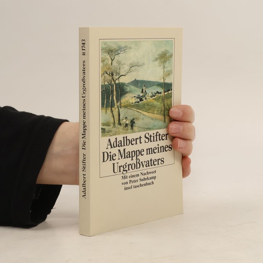 Peter Suhrkamp Insel Taschenbuch - 1743: Die Mappe meines Urgroßvaters