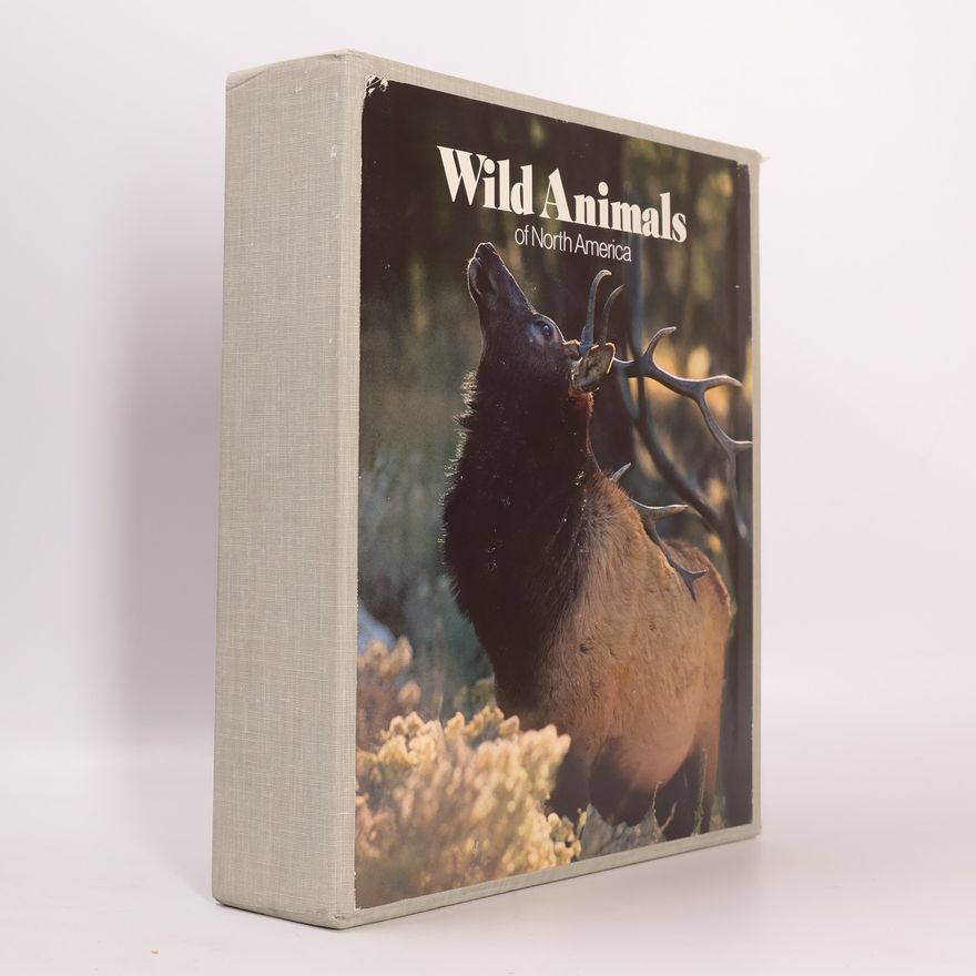 Collectif d'auteurs Wild Animals of the North America