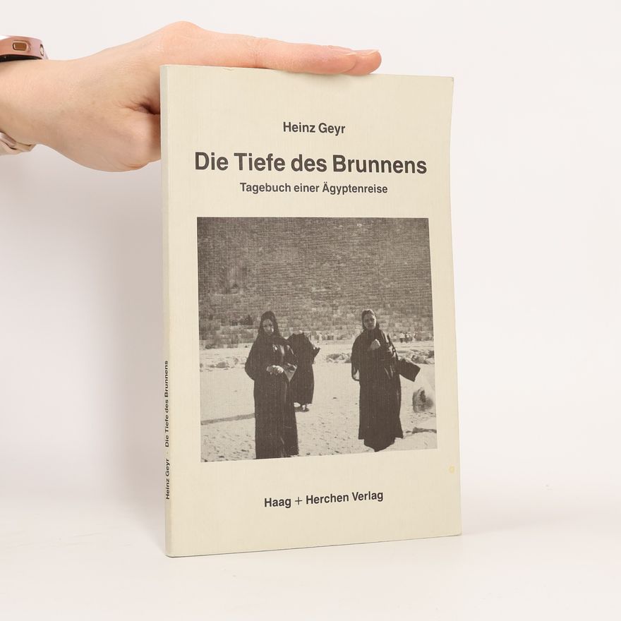 Heinz Geyr Die Tiefe des Brunnens