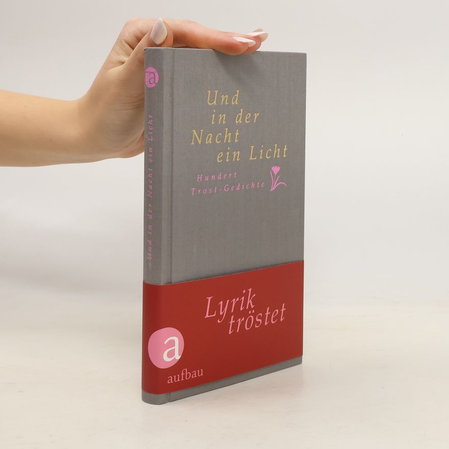 Jürgen Engler Und in der Nacht ein Licht