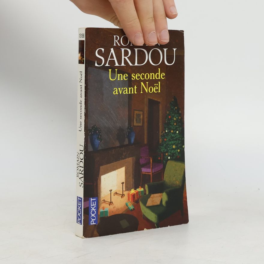 Romain Sardou Une seconde avant Noël
