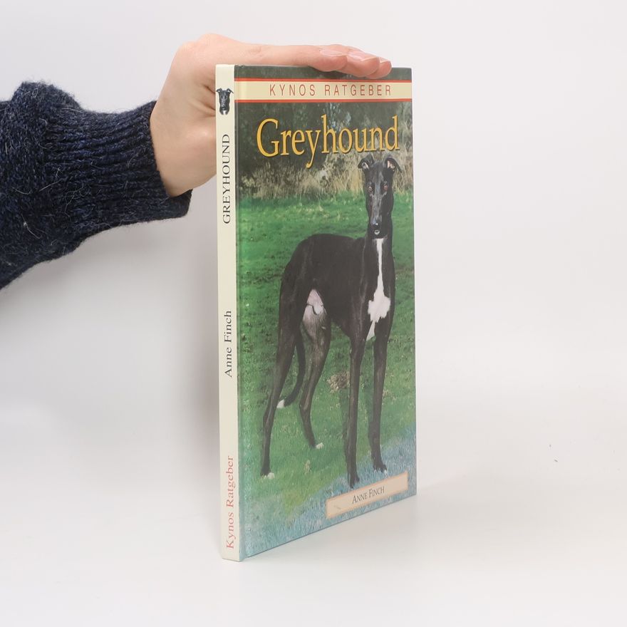 Anne Finch Greyhound