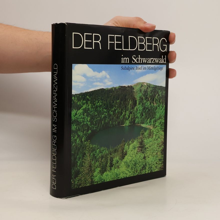 Arno Bogenrieder Der Feldberg im Schwarzwald