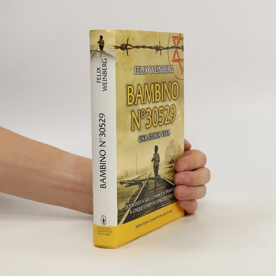 Felix Weinberg Bambino n°30529
