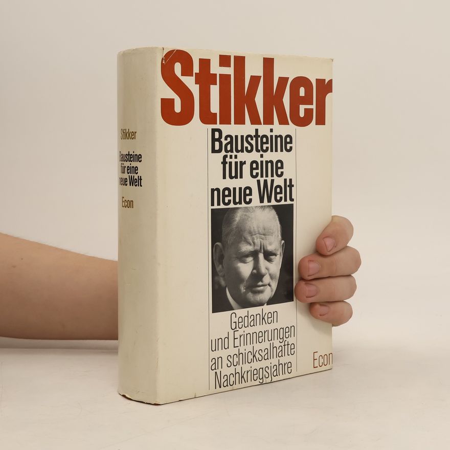 Allerd Stikker Bausteine für eine neue Welt