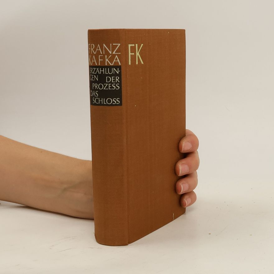 Franz Kafka Erzählungen. Der Prozess. Das Schloss