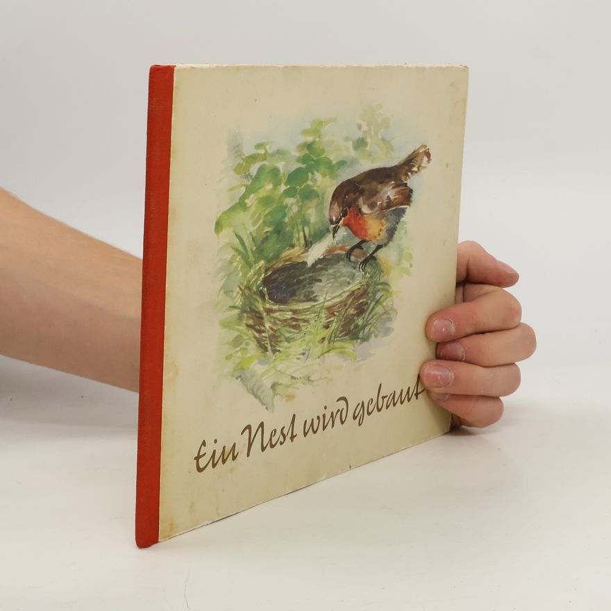 Autorenkollektiv Ein Nest wird gebaut