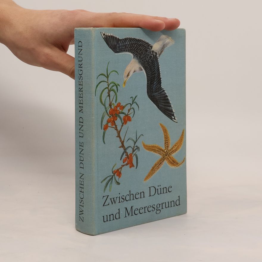 Autorenkollektiv Zwischen Düne und Meeresgrund