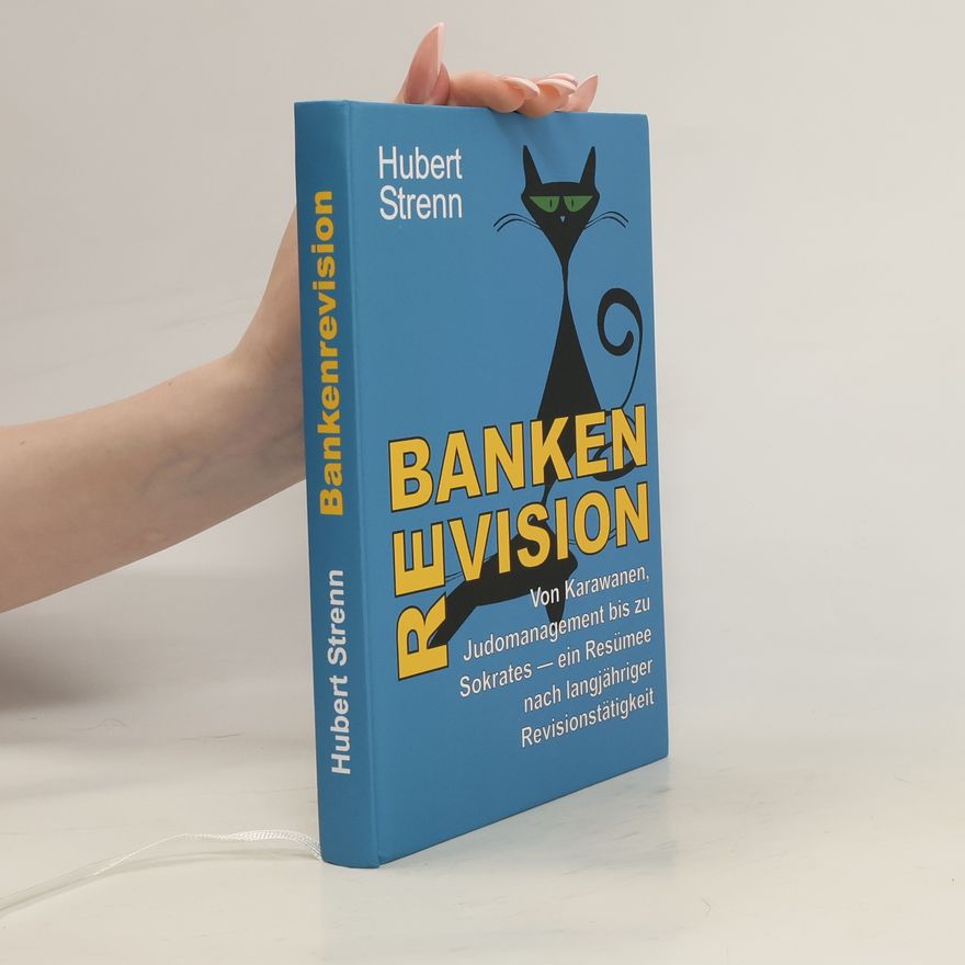 Hubert Strenn Banken-Revision