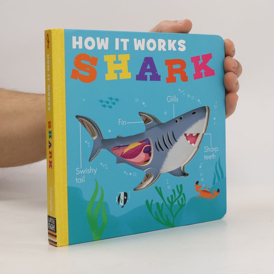 Molly Littleboy How it Works: Shark