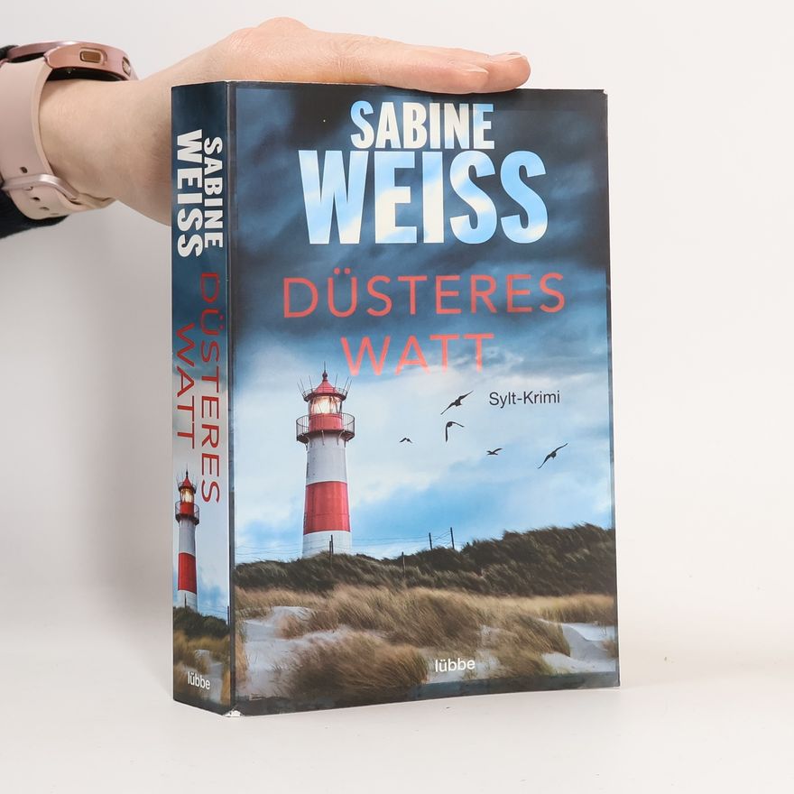 Sabine Weiß Düsteres Watt