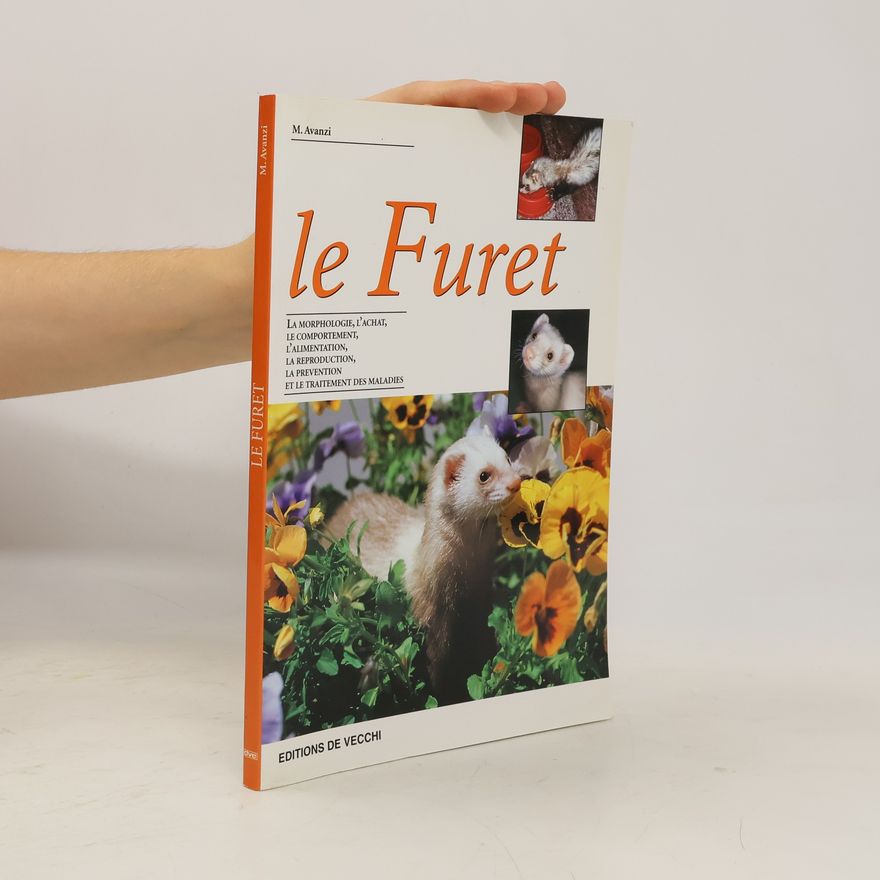 Maurizio Avanzi Le furet