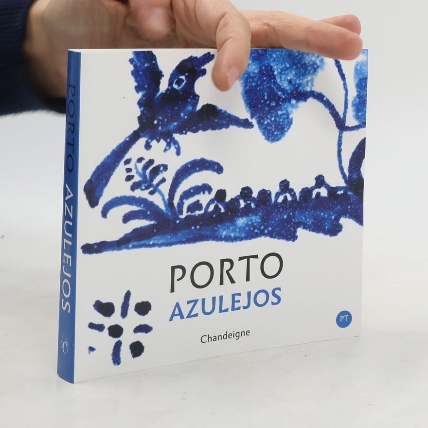 Autorenkollektiv Porto Azulejos