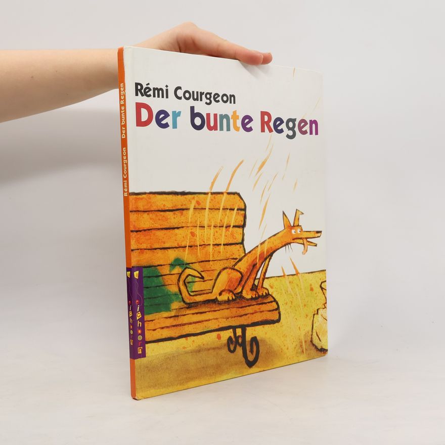 REMI COURGEON Der bunte Regen