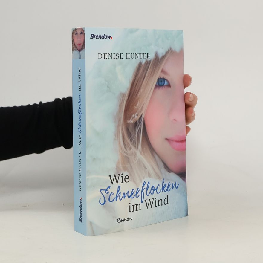 Denise Hunter Wie Schneeflocken im Wind