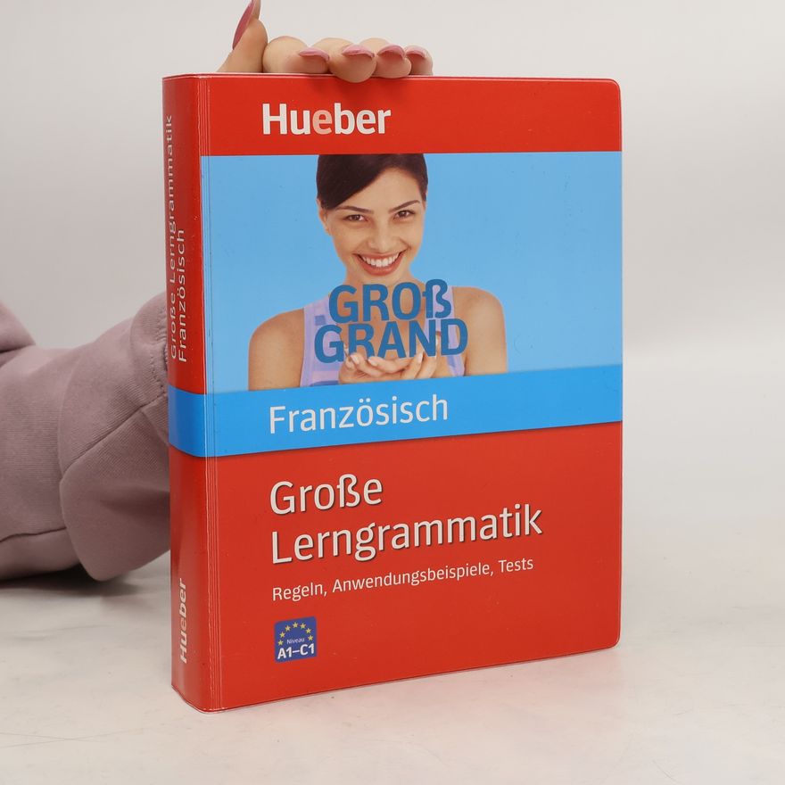 Nicole Laudut Große Lerngrammatik Französisch