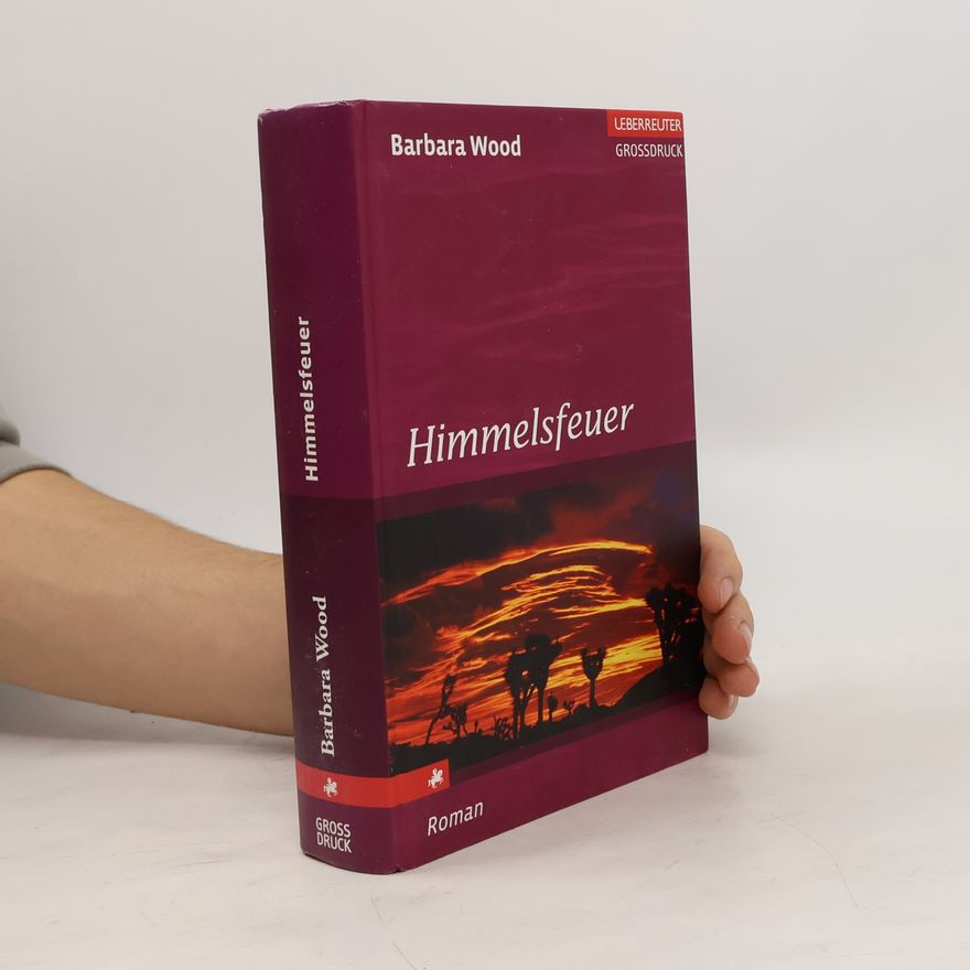 Barbara Wood Himmelsfeuer