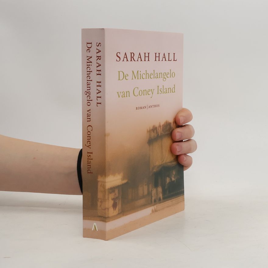 Sarah Hall De Michelangelo van Coney Island