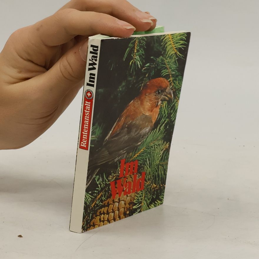 Autorenkollektiv Im Wald